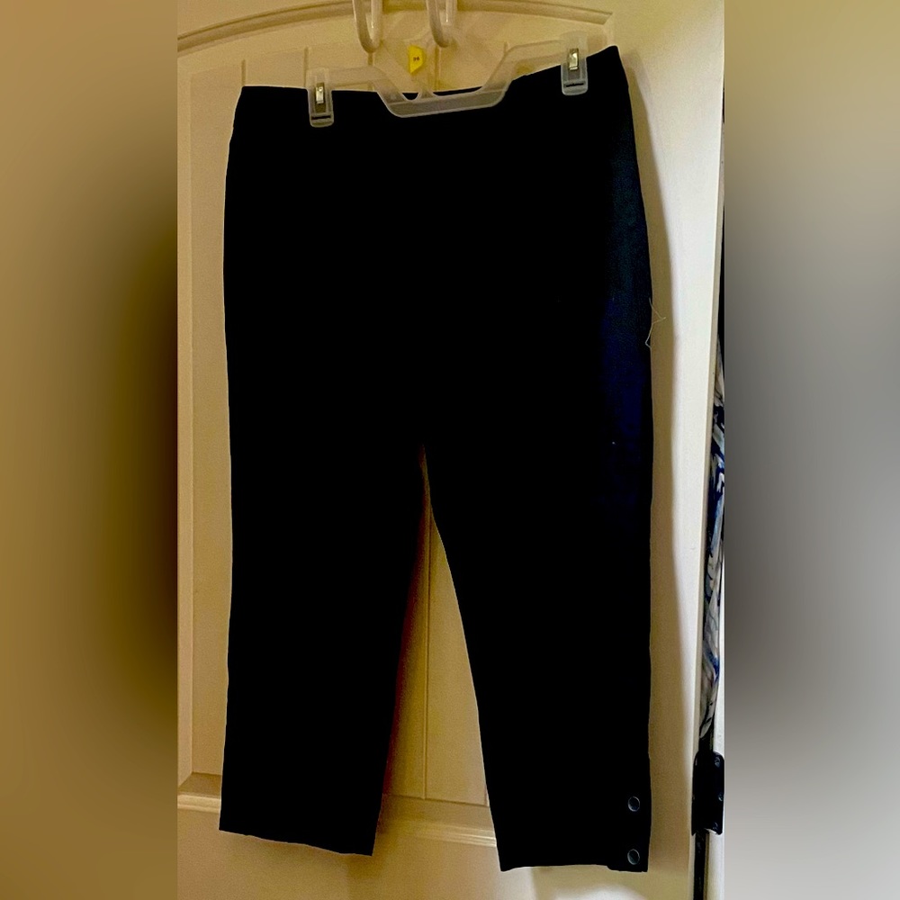 EEUC Talbots brand flat front crops